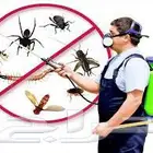 رش لجميع انواع الحشرات بدون رائحه