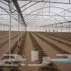 مطلوب صاله زراعيه 30 60 او حوله