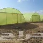 مطلوب بيوت محميه