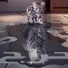 مطلوب قط للتبني معقم