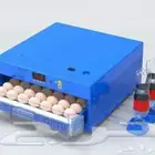 فقاسات رول المطورة مقاس 64من مؤسسة فنون الدواجن