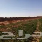 بلدوزرات للاجار