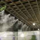 رذاذ وضباب