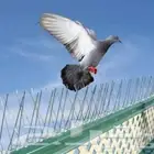 تركيب طرد الحمام والطيور تركيب غطاء مكيف الخارجي