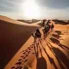 البحث عن الحلال المفقود