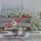 تخرجات 2023  تنسيق_مواليد  تنسيق_تخرج  كوش
