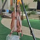 شوي خارجي مشاوي