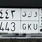 لوحه شبه مميزه 443