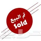 تيس بيشي العمر 7 شهور الارتفاع 77 سم