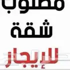 احتاج شقه شفه ايجار