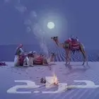 ايجار جمال وصقور وخيول