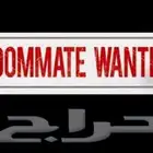 Looking for a Roommate