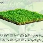 عشب صناعي جمله - عشب صناعي جمله