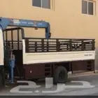 دينا ونش مشاوير