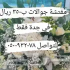 مفتشة جوالات