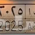لوحة 2025