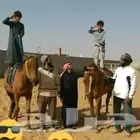 تدريب ركوب الخيل