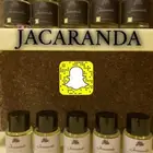 بكج ثلاثة عطور والرابع هديه