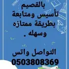 معلم انجليزي تأسيس ومتابعة لكل المراحل التعليمية والجامعي
