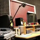 استوديو شجن شيلات منقيات زفات