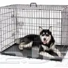 للبيع أقفاص قطط وكلاب جديدة