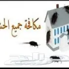 شركة رش حشرات ومبيدات ومكافحة الصراصير والبق والوزغ والفئران
