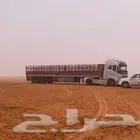تريله تريله