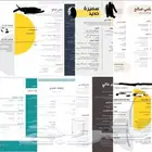 تصميم سيرة ذاتية احترافية ب 15 ريال فقط