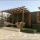 نجيله عشب صناعي وعشب جداري طلبيعي
