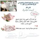 دجاج لاحم تختار بنفسك ويذبح آمامك