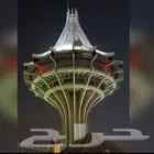 معلم رياضيات جامعى بالخرج