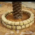 احواض  دكات جلسات اسوار بيوت حجر