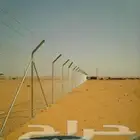 شبوك