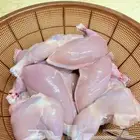 دجاج لاحم طازج باختيارك ويذبح امامك