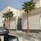 نخل واشنطني وشنطن واشنطوانيا زينه للبيع