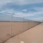 شبك ونخل