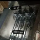 دودة دركسيون