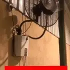 مروحه رذاذ عموديه وجداريه