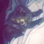 قطه شيرازيه بصغارها