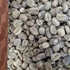 بن خولاني يمني للبيع رقم 1