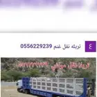 تريله نقل حلال