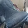 أهل الخيول 