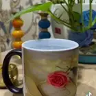 الكوب السحري والكوب العادي