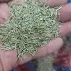 كموان حب يمني بلدي فلفل كراز يمني