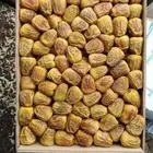 سكري مفتل رقم واحد مزرعه وحده والسعر حسب الكميه ويتوفرالتمور