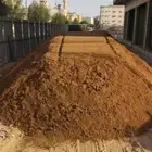 رمل احمر الفريش
