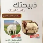 ذبيح