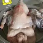 ذبايح نعيم وحري