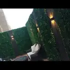 عشب صناعي