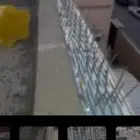 طارد الحمام والطيور
